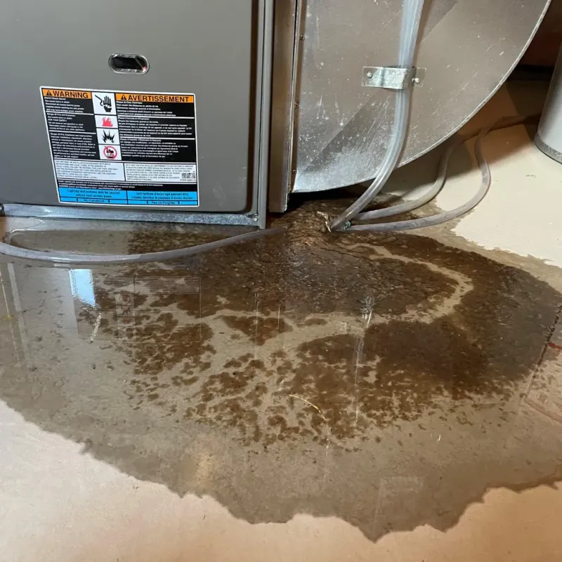 Appliance Leak Cleanup in Norton Shores, MI