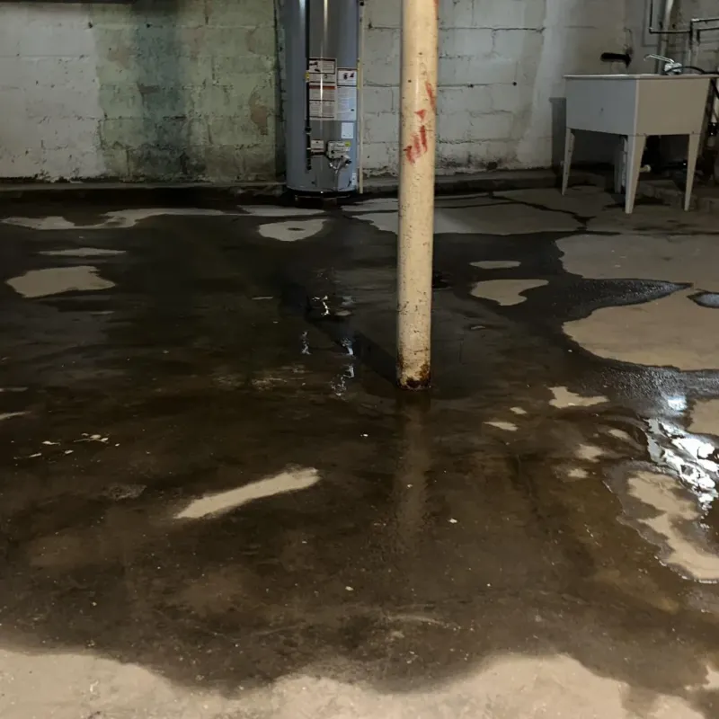 Emergency Water Extraction And Removal in Norton Shores, MI